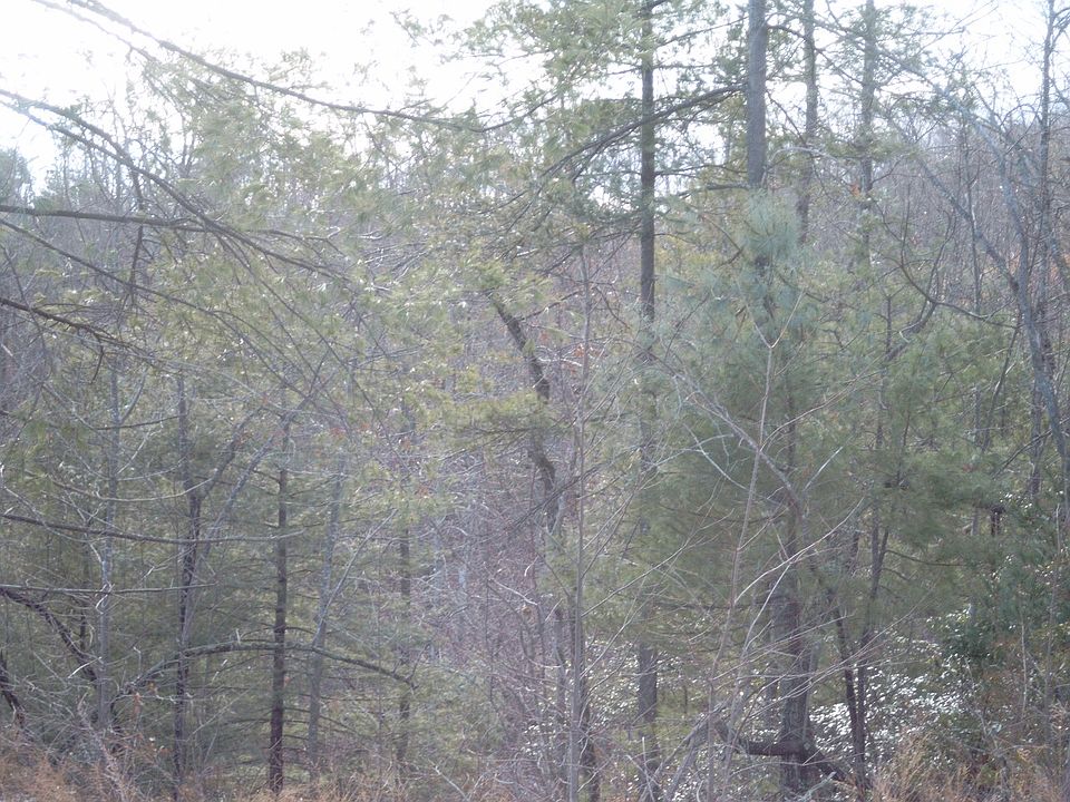 1st image of Lot 27 Majestic Mountain
