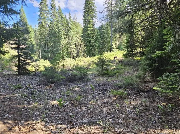 91 Wildwood Ranch Rd, Wildwood, CA 96076