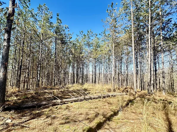 173 Center Ridge Dr Lot 91, Hohenwald, TN 38462