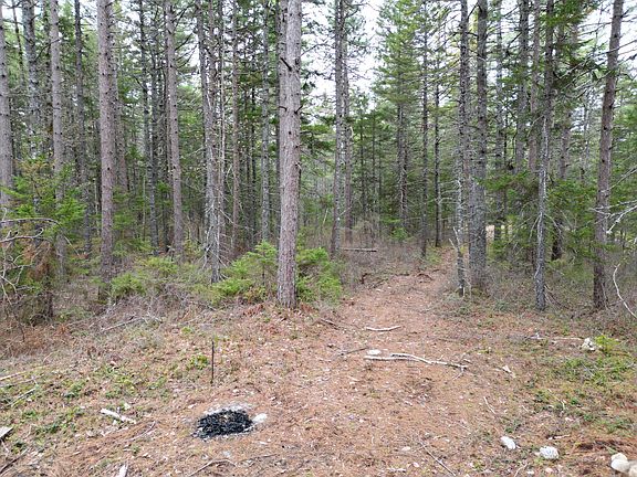 2nd image of 1323 Deer Haven
