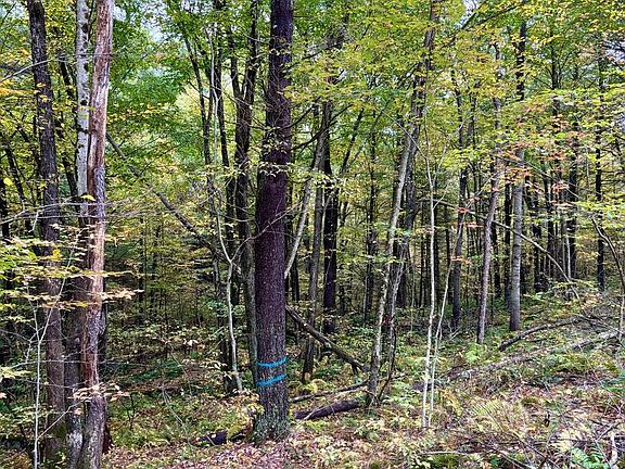 4th image of 22 Beech Creek Mountain Rd