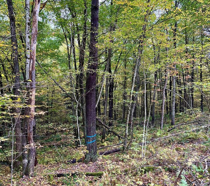 1st image of 1 Beech Creek Mountain Rd