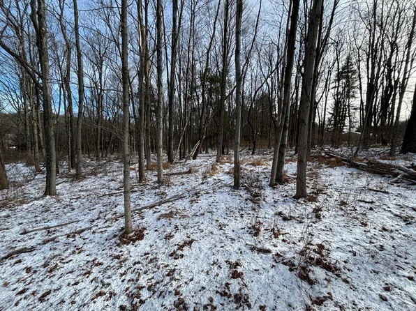 0 Vulcan Rd, Madera, PA 16661