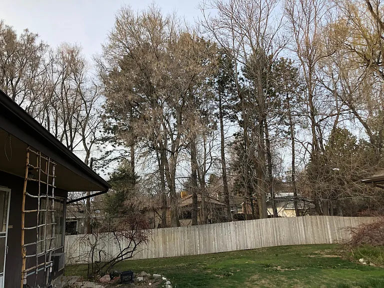 1415 E Murphys Ln #B — Photo 12