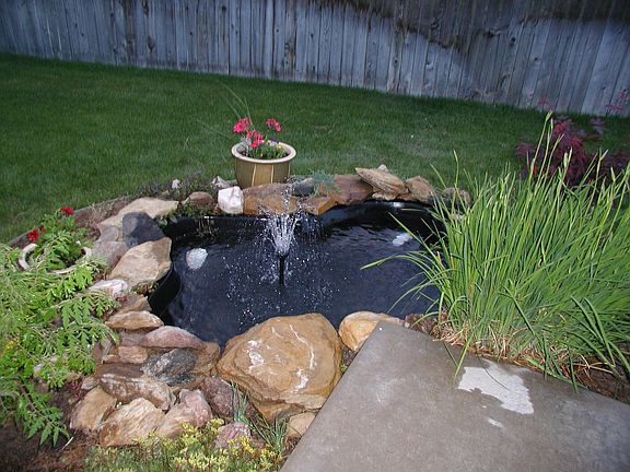 Pond
