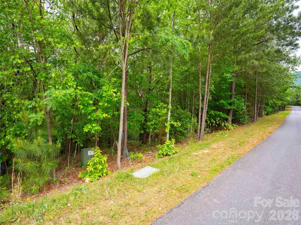 2009 Deep Gap Farm Rd W, Mill Spring, NC 28756