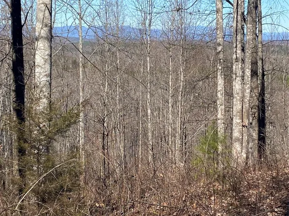 Mentinck Dr, Nebo, NC 28761