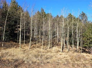 0 Alps Hill Rd #701, Central City, CO 80427