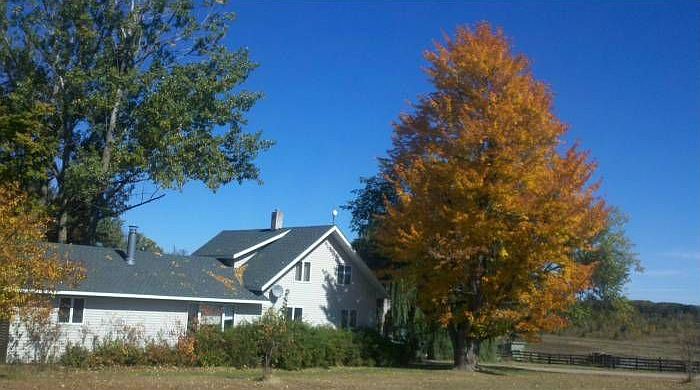 homes long prairie