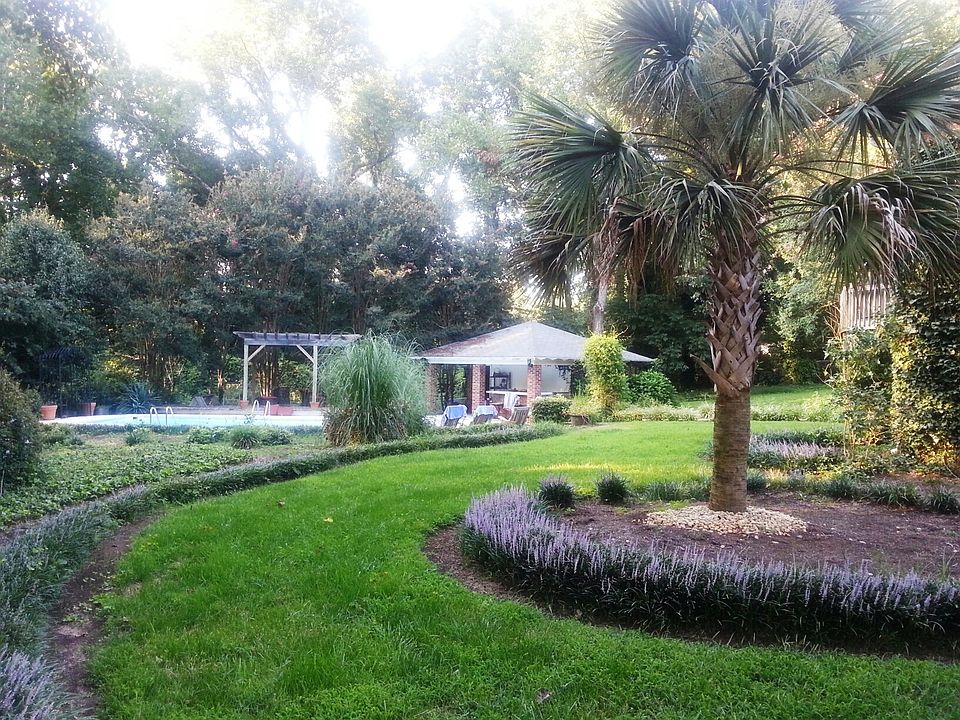 Beautiful back yard
