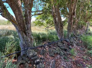 LOT 2 Lot 2, Naalehu, HI 96772