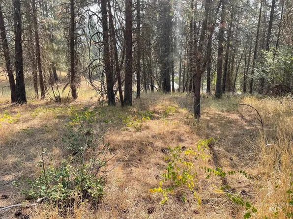Upper Fitchs Point Rd, Garden Valley, ID 83622