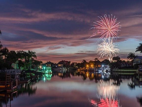 View From Back Yard - Celebrate!