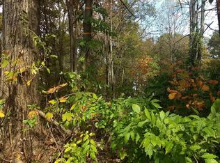 0 Elon Rd LOT 1 & 3, Madison Heights, VA 24572