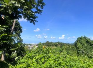 Barrio Mamey, Guaynabo, PR 00969