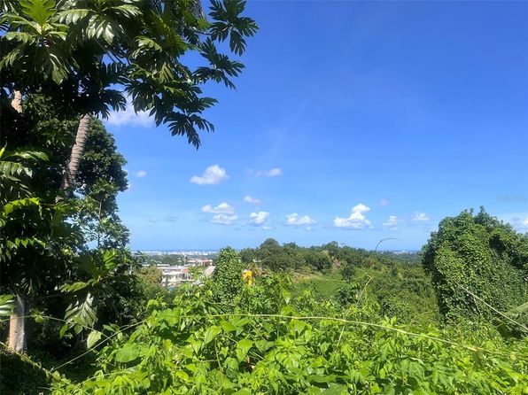 Barrio Mamey, Guaynabo, PR 00969