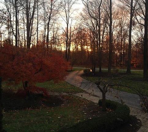 4th image of 14611 Shire Ct