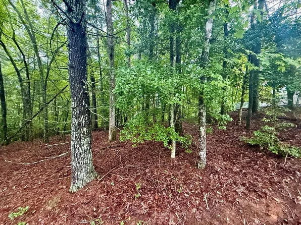 LOT 15 White Pine Dr, Hayesville, NC 28904
