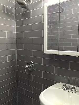 Rented by Reliance Realty Partners LLC  | media 17