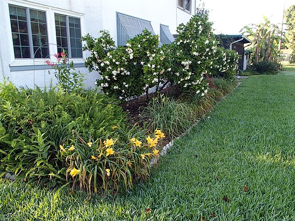 Lillies/gardenias/bananas..