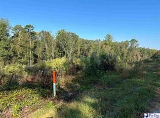 LOT 3 Green St, Chesterfield, SC 29709