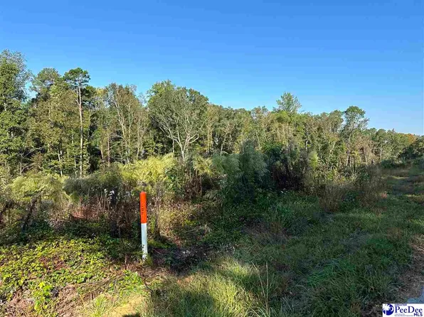 LOT 3 Green St, Chesterfield, SC 29709