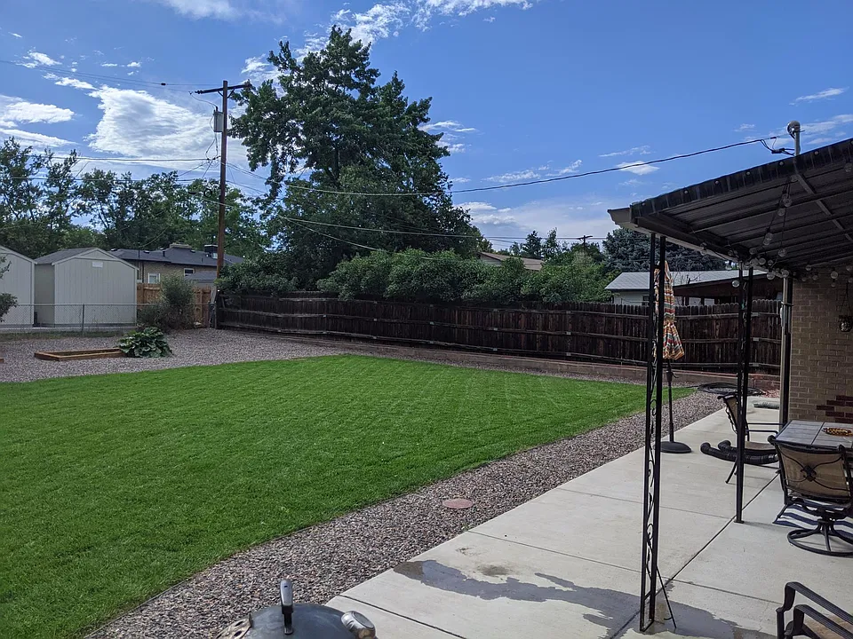Back Yard