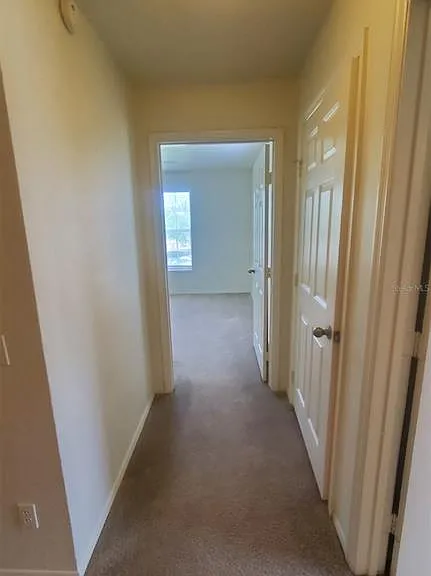 36243 Lake Chase Blvd #203 — Photo 16
