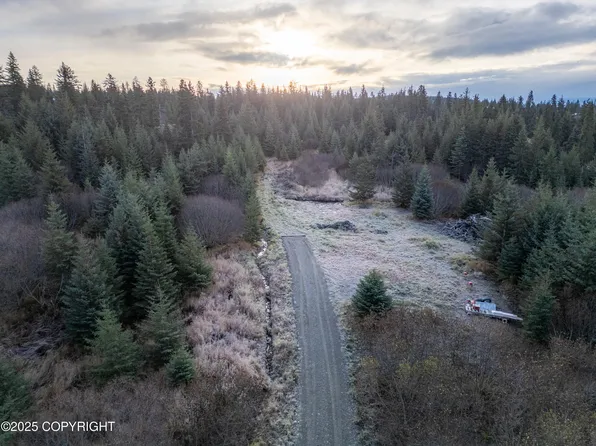 41176 Char Ct, Homer, AK 99603