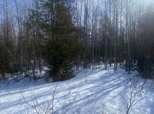 Tbd Winters Rd, Trenary, MI 49891