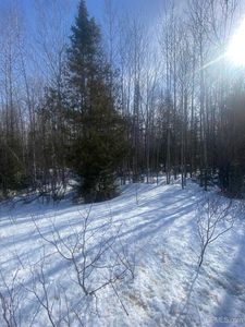 Tbd Winters Rd, Trenary, MI, 49891