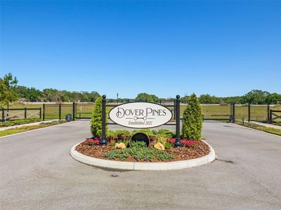 14282 Pine Straw Ct #4, Dover, FL, 33527