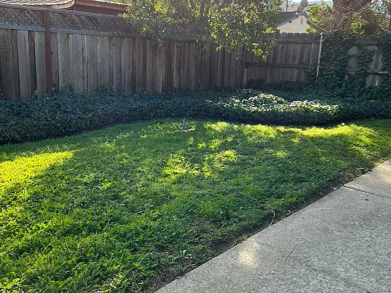 1108 Kelez Dr — Photo 18
