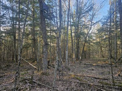 N1343 Ten Crossing Rd, Ogema, WI, 54459