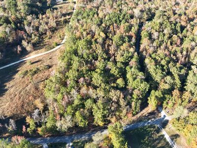 0 Waldrop Rd, Ashville, AL, 35953