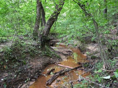 0 Blunt Rd, Decaturville, TN, 38329