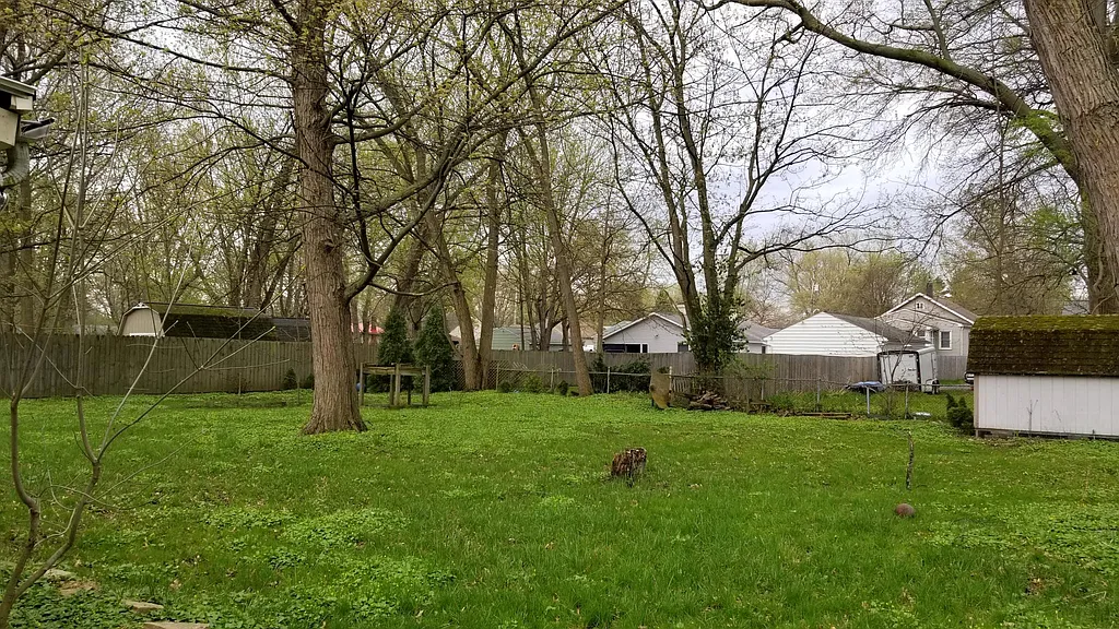 Property photo 4