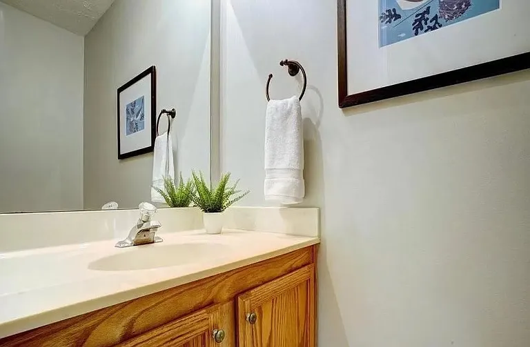 4150 Spanish Bay Dr — Photo 13