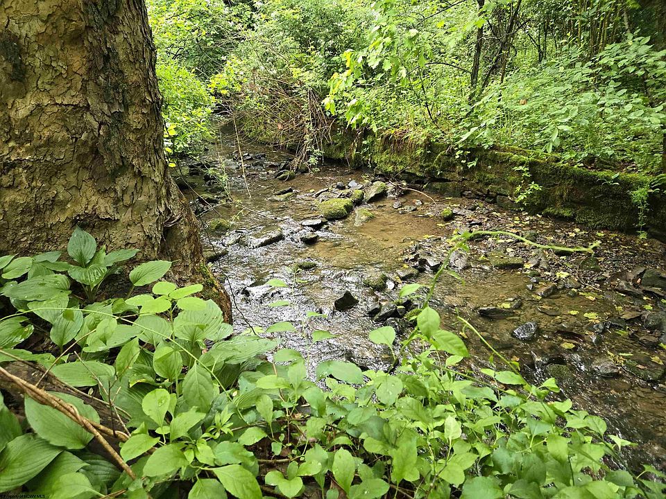 1st image of 136 Birch Hollow Rd
