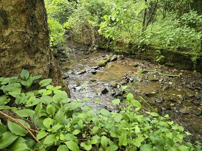 136 Birch Hollow Rd, Morgantown, WV, 26508