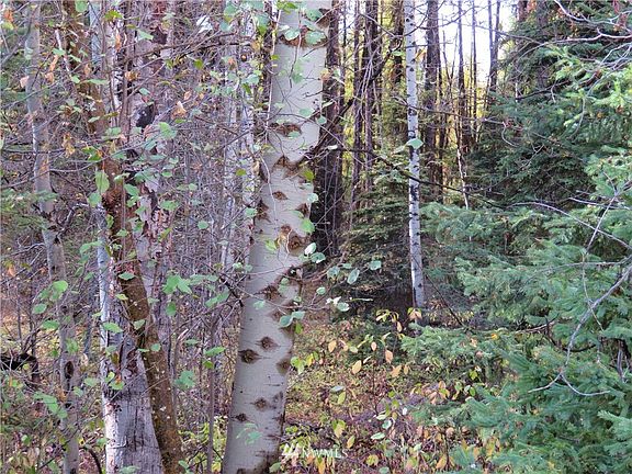 2nd image of 0 TBD Hwy 20 W