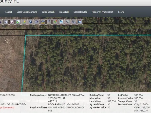 Vacant Ne Beulah Church R Road Lee #32059, Other City In The State Of Florida, FL
