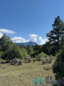 2 Tract C Cres #485, Tierra Amarilla, NM, 87575