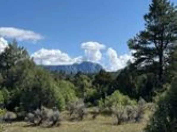 2 Tract C Cres #485, Tierra Amarilla, NM 87575