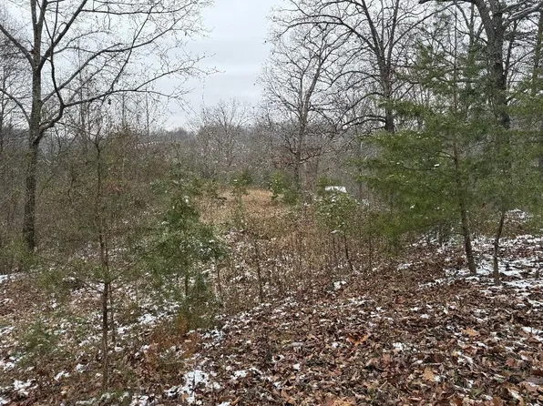 0 Whetstone Rd, Greenup, KY 41144