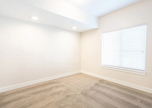 Bedroom with Lush Carpet and Modern Lighting Bedroom with Lush Carpet and Modern Lighting