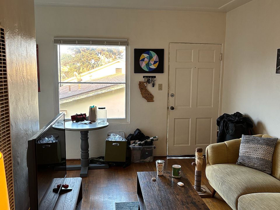 Wood Floors & Natural Light