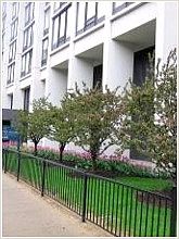 The Front of The Building