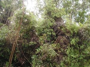 LOT 38 Lot 38, Volcano, HI 96785
