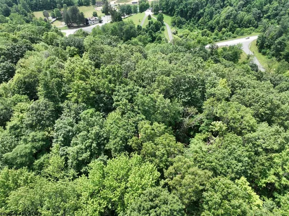 1 The Vale Rd, Bridgeport, WV 26330